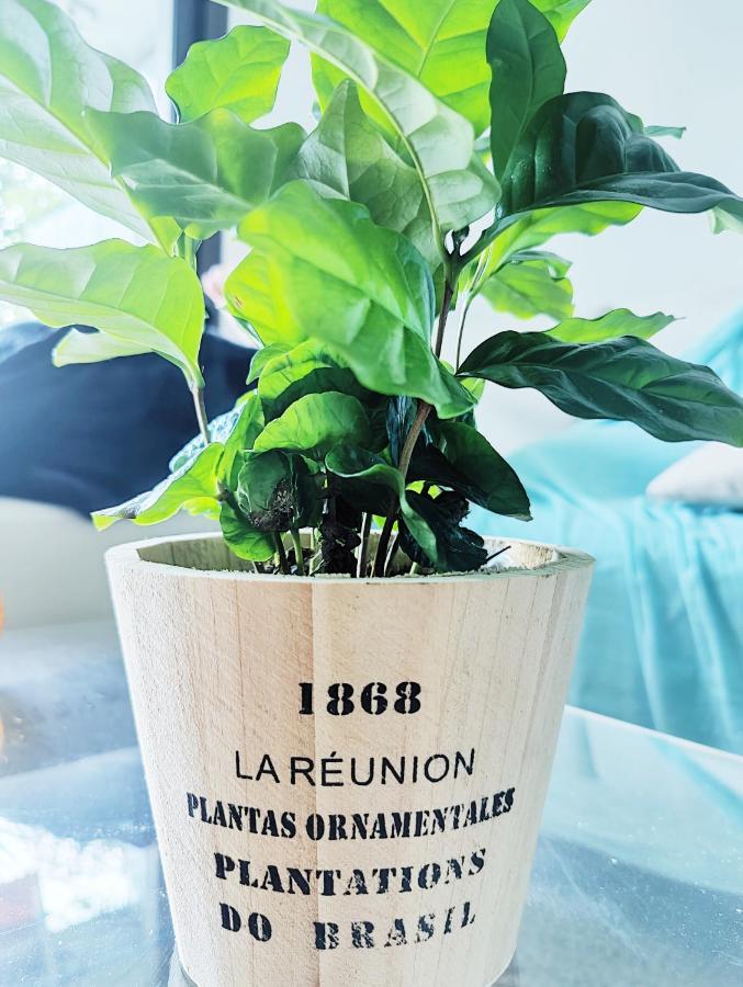 Garden Flat In Κάννες Εξωτερικό φωτογραφία